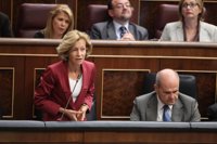 Salgado: "Hasta final de año no se sabrá qué ayuntamientos podrán"