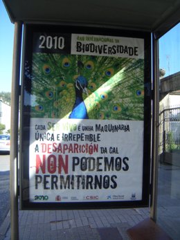 Vigo, Pontevedra, Santiago Ciudades Que Acogen La Campaña Del CSIC Con Motivo De