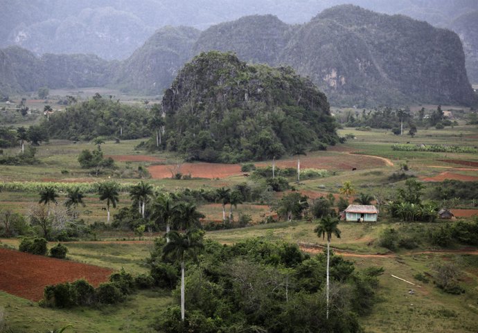 El campo cubano
