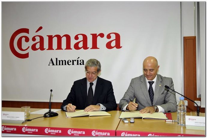 El presidente de Unicaja, Braulio Medel, en la Cámara de Comercio de Almería
