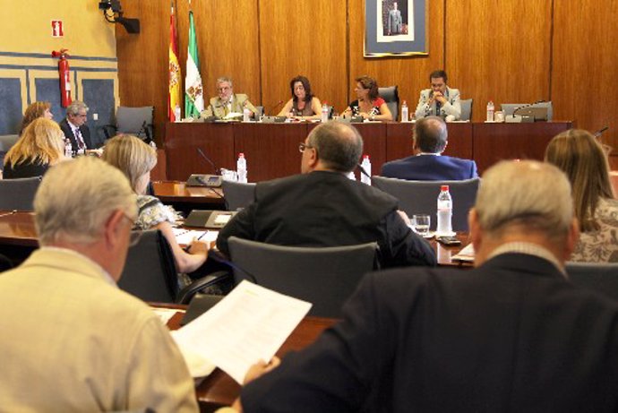 Mar Moreno, al fondo, durante su comparecencia en comisión del Parlamento