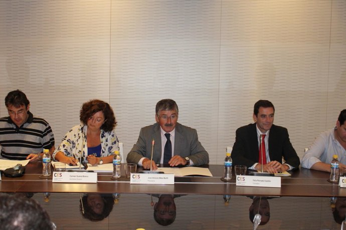 pleno del CES