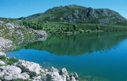 Picos de Europa