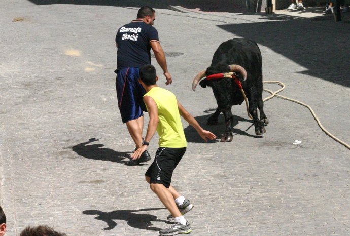 Toro de cuerda en Carcabuey (Córdoba)