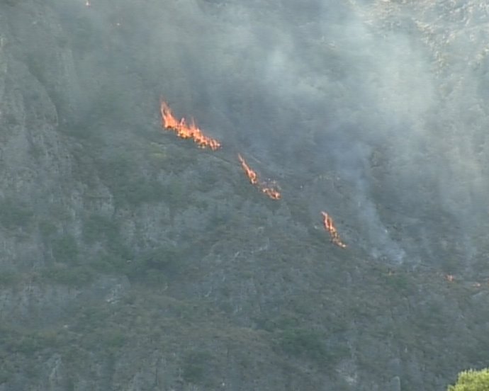 Incendio en el monte