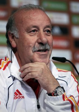 El seleccionador nacional español, Vicente del Bosque
