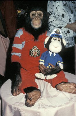 Bubble, el chimpancé de Michael Jackson