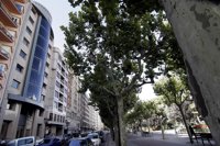 Sanz afirma que el SIP de Caja Rioja "es una buena noticia, que da continuidad a nuestra caja, que sola hubiera muerto"