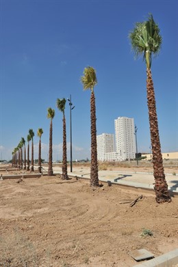Plantación de arbolado en Sociópolis.