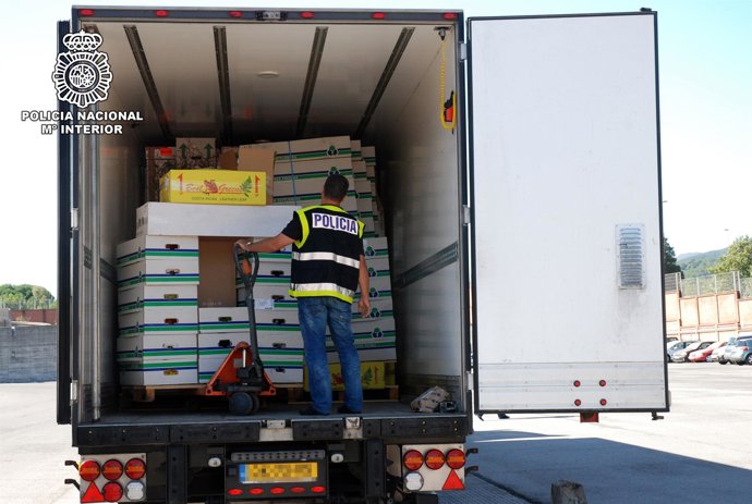 Speed incautado entre flores