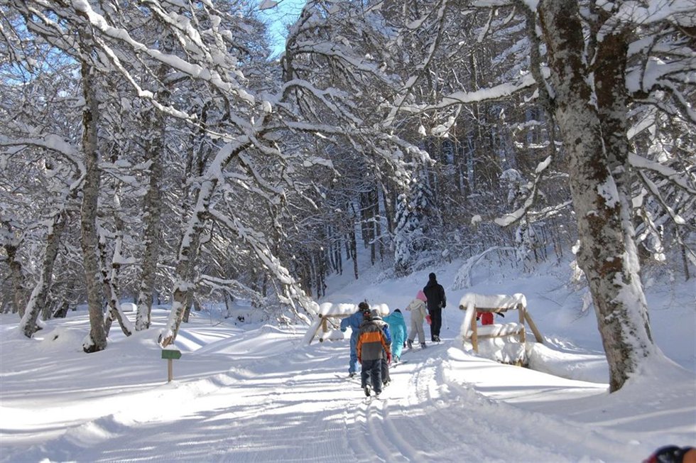 pirineo aragonés