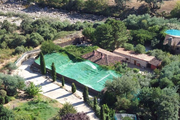 Imagen de la finca de Candeleda (Ávila) donde se cultivaban las 800 plantas