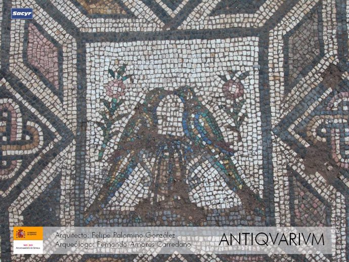 Uno de los mosaicos de 'Antiquarium'