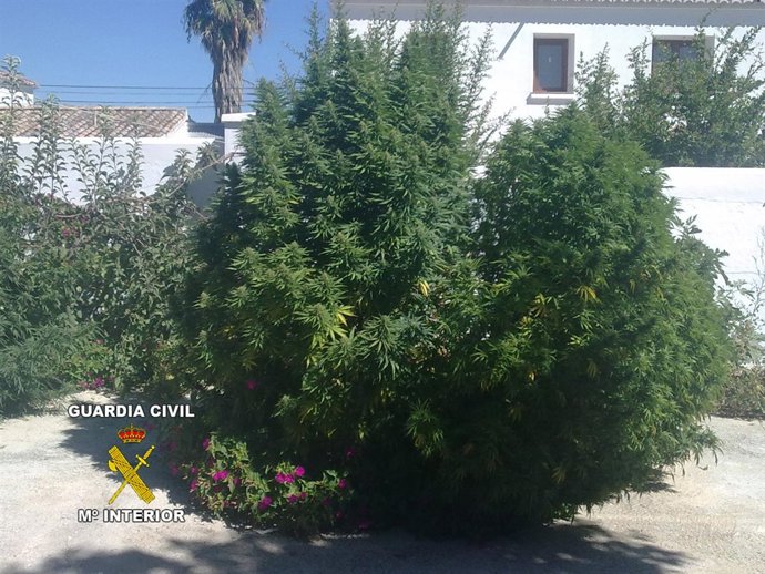 Guardia Civil, Nota De Prensa Y Foto