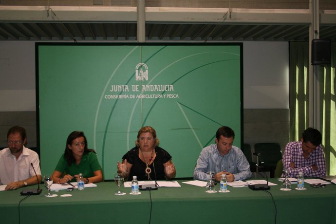 Reunión de la Consejería de Agricultura con el sector de frutas y hortalizas