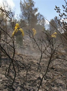 Efectivos trabajando en un incendio