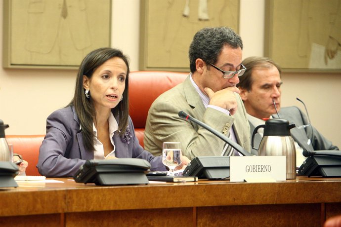 Corredor durante su comparecencia en el Congreso