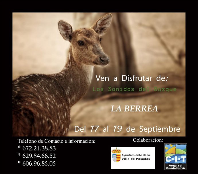 Ruta De Los Sonidos Del Bosque