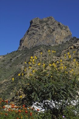 La Gomera