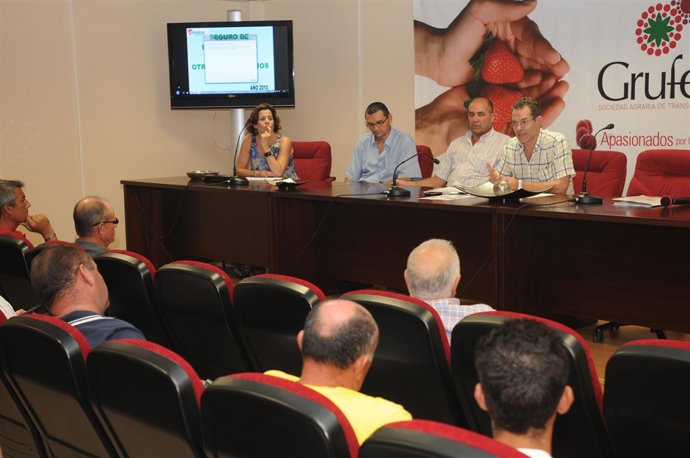 Primera reunión organizada por Freshuelva sobre los seguros.