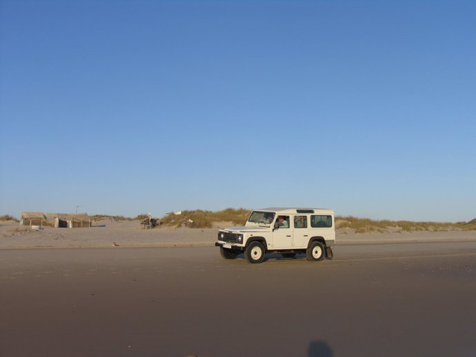 Imagen de un vehículo durante su tránsito por la playa de Doñana. 