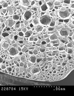 Imagen de andamios utilizados para regeneración de tejidos obtenida a través de 