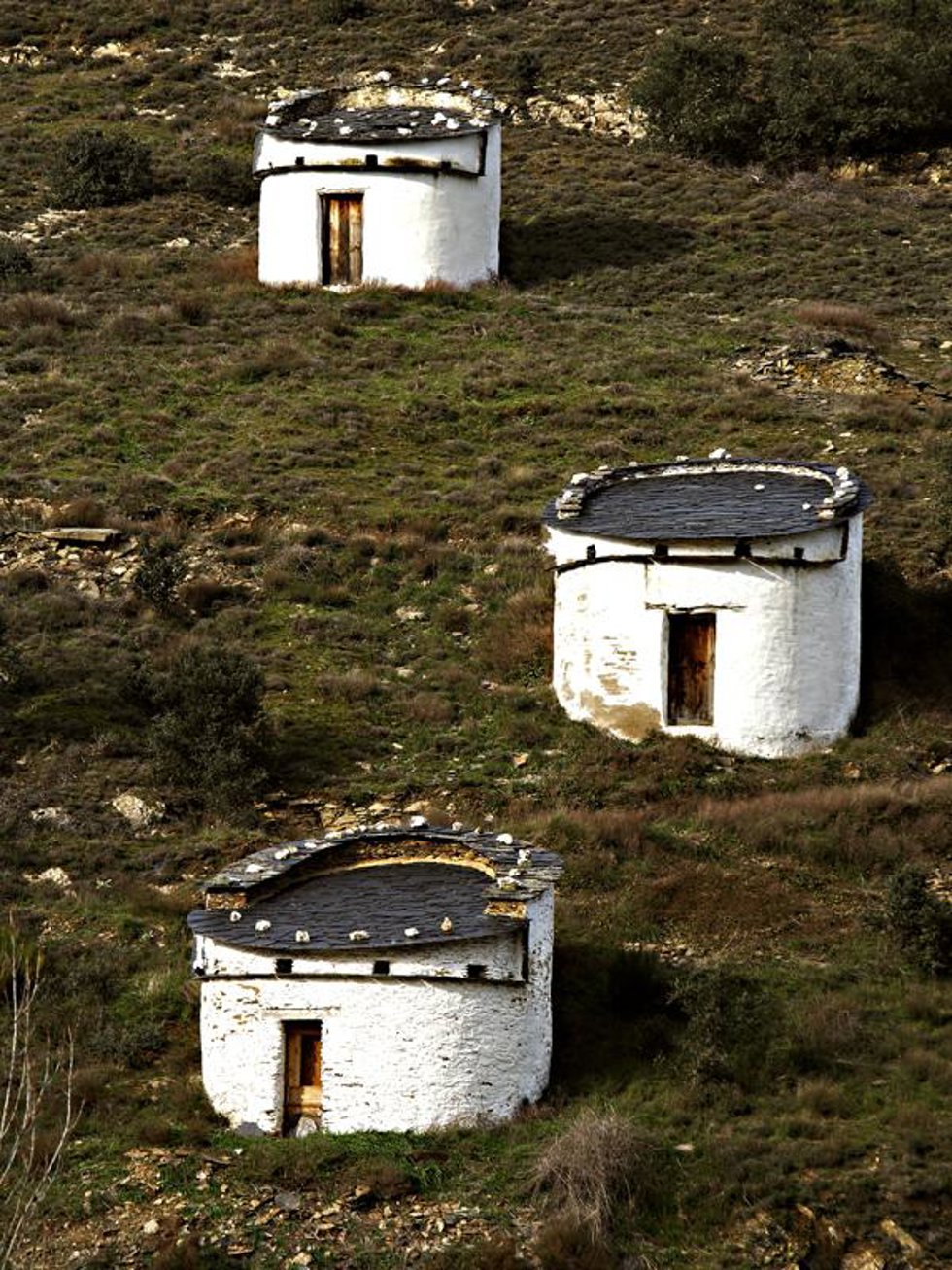 Imagen de palomares