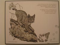 WWF: "No podemos permitirnos traer un lince de Sierra Morena para que muera en Doñana"