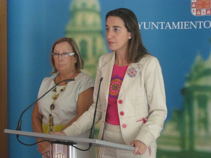 Fuentes en su comparecencia