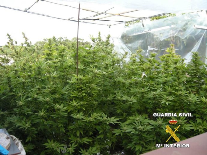 RDO. NOTA DE PRENSA Y FOTOGRAFIA GUARDIA CIVIL