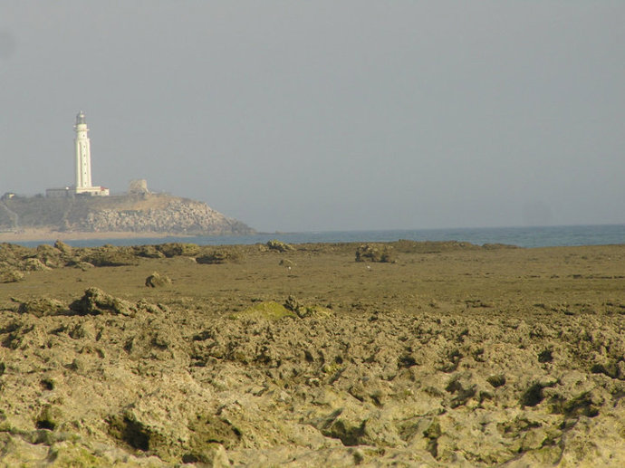 Faro de Trafalgar, en Vejer de la Frontera