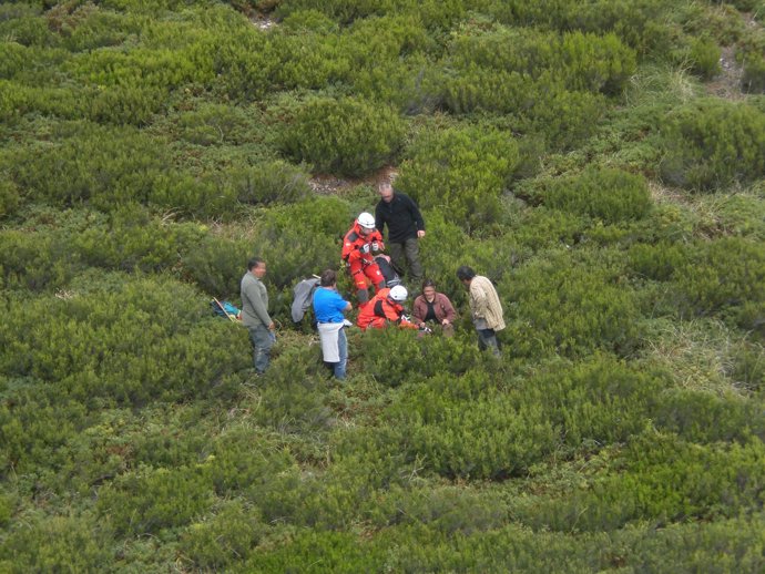Los equipos de emergencias rescatan a la senderista en León.