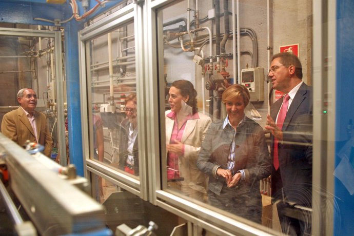 María Luisa Araújo