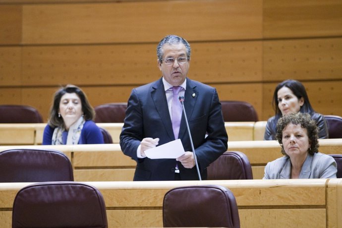 El senador del Partido Popular por Tenerife, Antonio Alarcó.