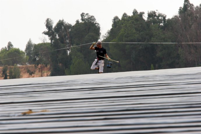 Plantaciones de fresas en Huelva