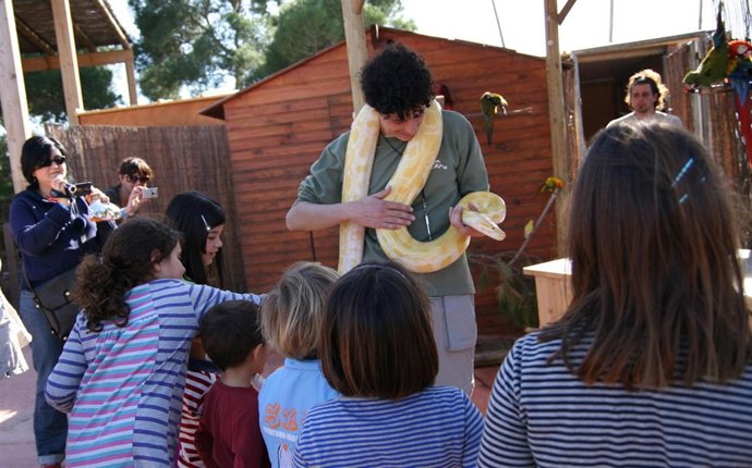 Pitón albina macho de 3,5 metros en Terra Natura