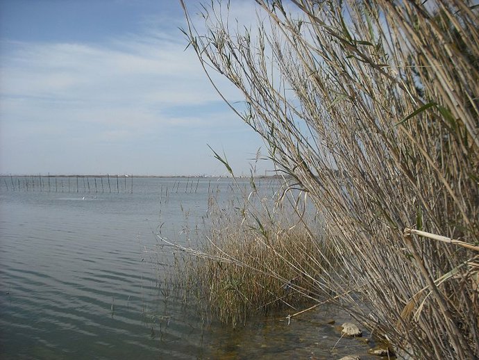 Albufera de Valencia