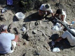 restos fósiles, paleontólogo