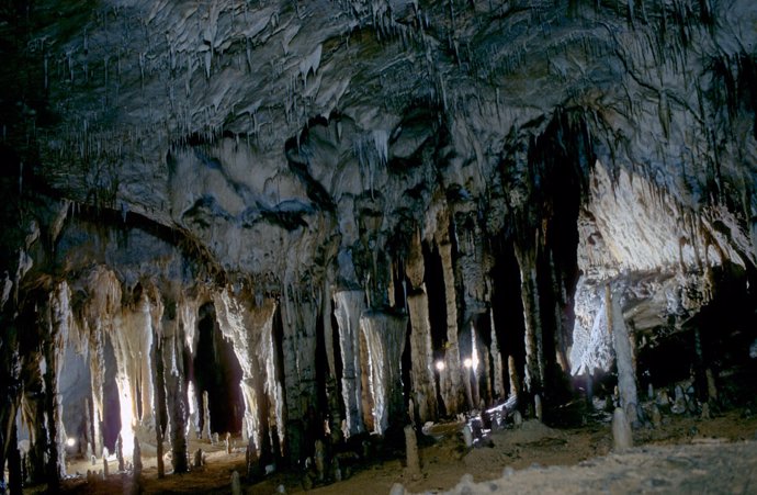 Cueva del Alto Asón
