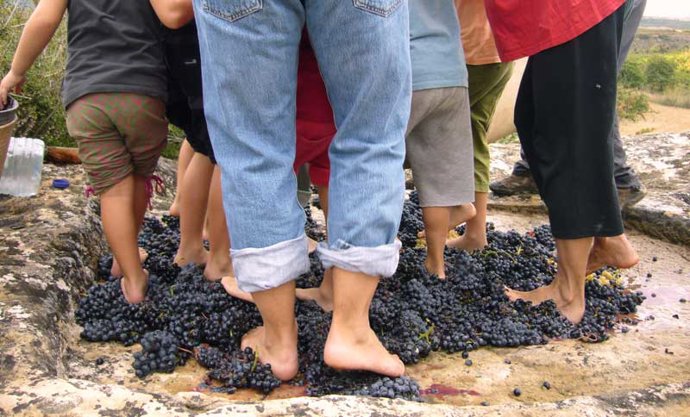 Pisando uvas