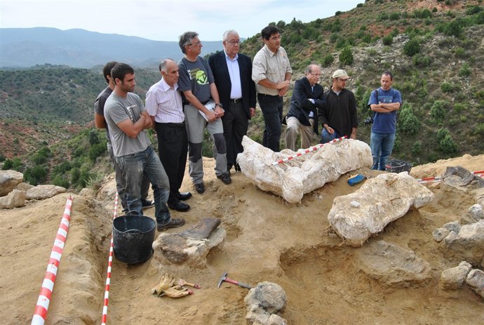 Fémur de dinosaurio