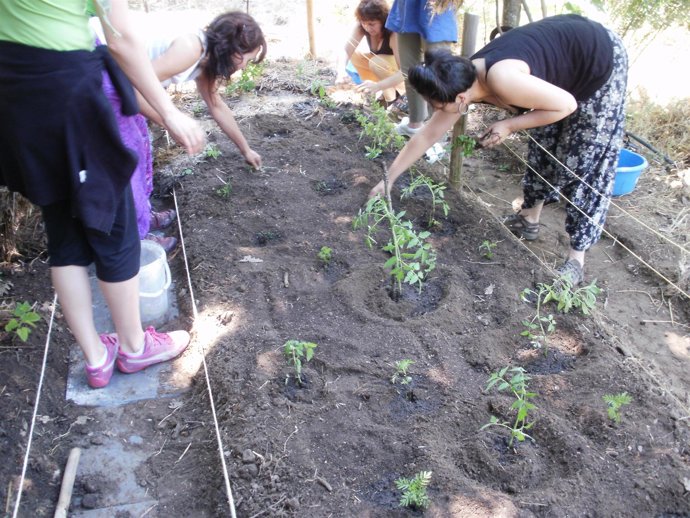 Actividades de Vera Sostenible