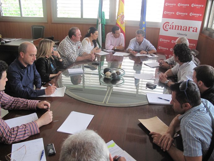 Comité organizador del Salon Internacional del Cine de Almería