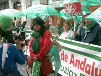 PA pedirá a los andaluces retirar fondos de la nueva CajaSur y cerrar sus cuentas si BBK aprueba la operación