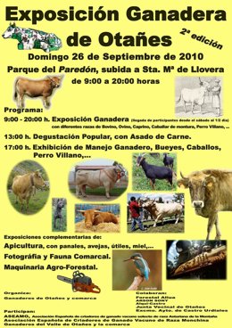 Exposición ganadera