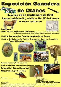 Exposición ganadera