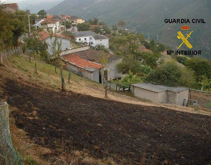 Terrenos afectados por el incendio.
