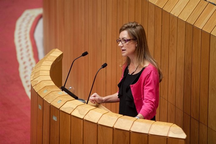 Fernández Currás en el Parlamento