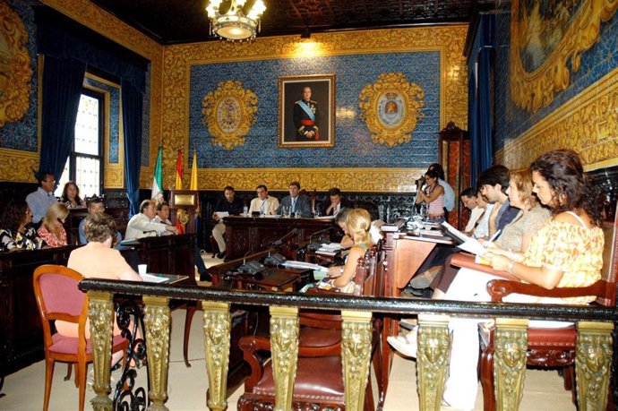 Pleno del ayuntamiento