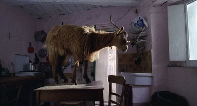 Fotograma de la película 'Le Quattro Volte'.